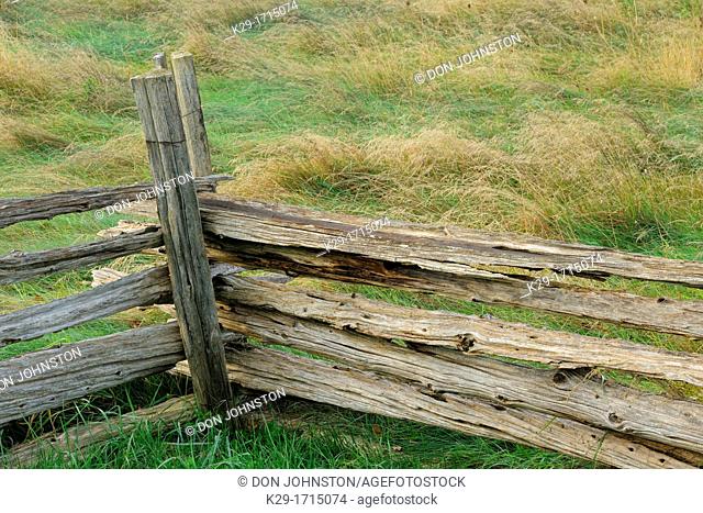 Cedar split-rail fence, Manitoulin Island, Ontario, Canada