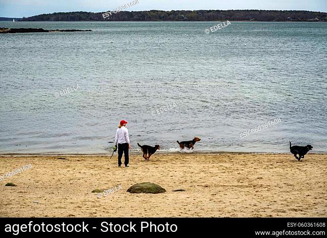 Mature Woman playing with her dogs on the beach in Portland ME
