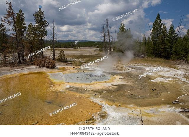 USA, America, United States, North America, Norris Geyser Basin, Hot spring, Water, Forest, Wyoming, Landscape, scener