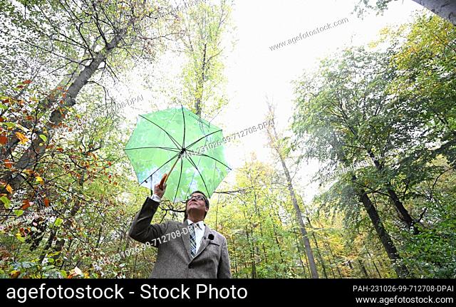 26 October 2023, Baden-Württemberg, Stuttgart: Peter Hauk (CDU), Minister of Agriculture of Baden-Württemberg, stands in a forest patch with beech trees during...