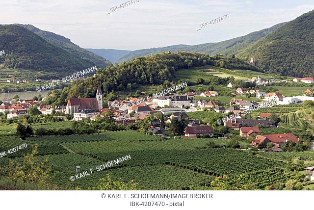 View over vineyards to Spitz an der Donau, Tausendeimerberg, Wachau, Waldviertel, Lower Austria, Austria