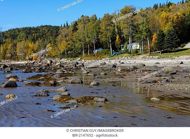Beach, Manicouagan region, Saint Nicolas bay, Quebec, Canada