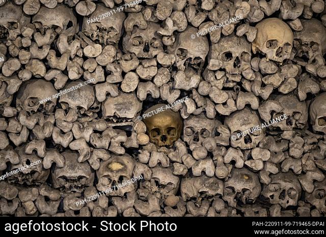 11 September 2022, Rhineland-Palatinate, Oppenheim: A skull painted gold stands out among thousands of other skulls and bones in the chapel of the dead in...