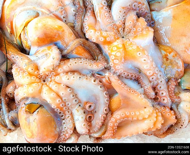 Fresh Octopus on ice for sale, Fish local market stall with fresh seafood