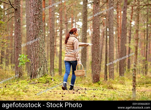 asian woman picking mushrooms in autumn forest