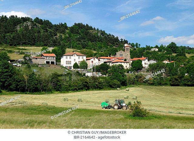 Haymaking and village of Chadron, valley of Loire, Haute Loire, Auvergne, France, Europe