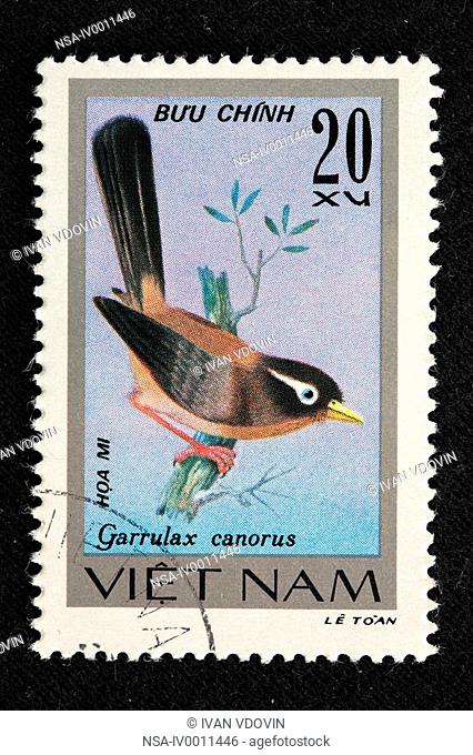 Hwamei Garrulax canorus, postage stamp, Vietnam