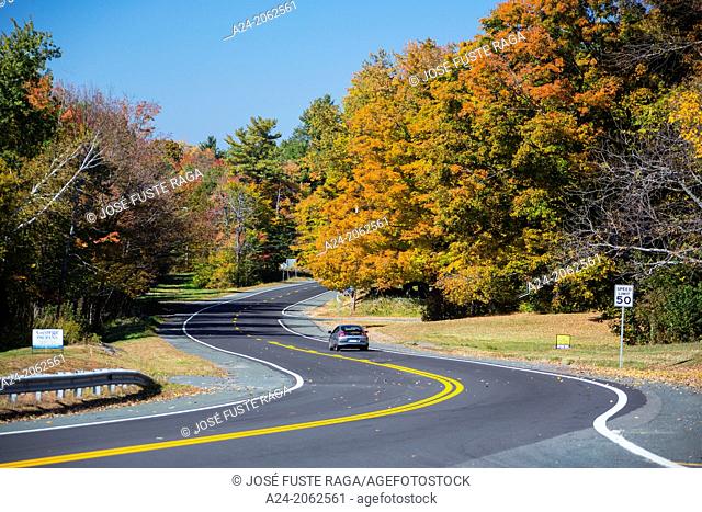 USA , Massachusetts, Berkshire District, Road