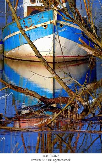 decommissioned, disused fishing cutter at a river at high tide, Germany, Bremen