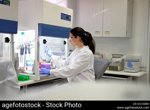 Female scientist with pipette working at fume hood in laboratory