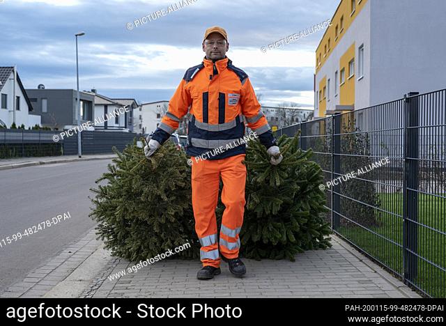15 January 2020, Saxony-Anhalt, Magdeburg: Ronny Scheer (36), employee of the waste management company in Magdeburg, pulls two Christmas trees behind him