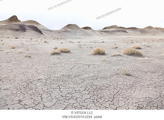 USA, New Mexico, desert with cracked ground