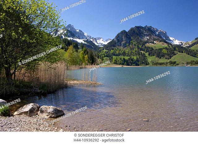 Schwarzsee, mountain, mountains, mountain lake, lake, lakes, canton, FR, Fribourg, Freiburg, Switzerland, Europe, water, nature