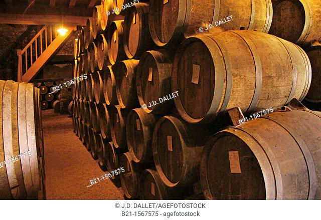 'Chai' cellar at Chateau Caillaubert, of the Tariquet Wines and Armagnac Estate, where the Armagnac are aging, Gers, Midi-Pyrenees, France