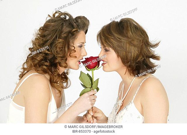 Portrait of two brides holding a rose