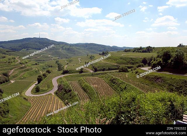 Weinterrassen, Weinanbaugebiet, Weinberg, Terrassen, Kaiserstuhl