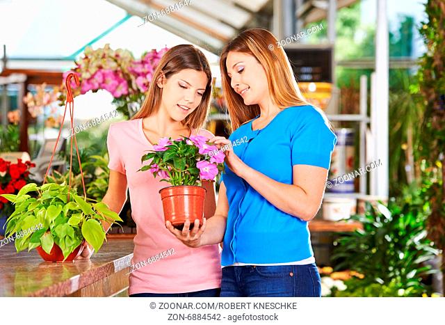 Mutter und Tochter kaufen eine Pflanze (Philodendron) in einer Gärtnerei