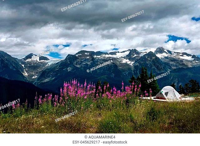 Back country campground in Garibaldi Provincial Park near Whistler. Vancouver. British Columbia. Canada