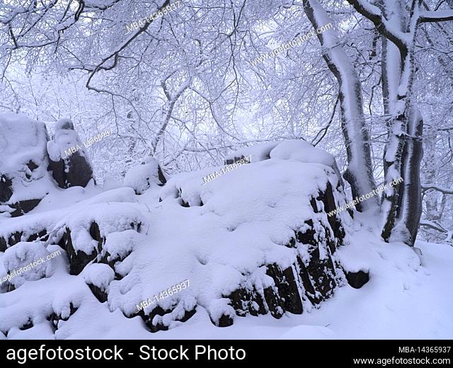 Europe, Germany, Hesse, Nature Park Lahn-Dill-Bergland, Winter at the Wilhelmsteine near Siegbach-Tringenstein