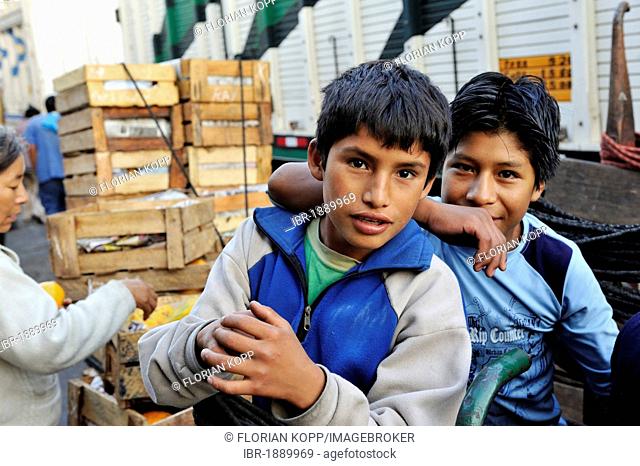 Child labour, two boys, 11 and 12 years, working as carriers at the fruit market Mercado de Frutas, La Victoria district, Lima, Peru, South America