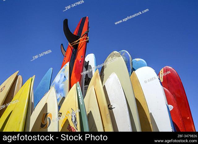 Surfboards at Playa Los Cerritos, Baja California Sur, Mexico