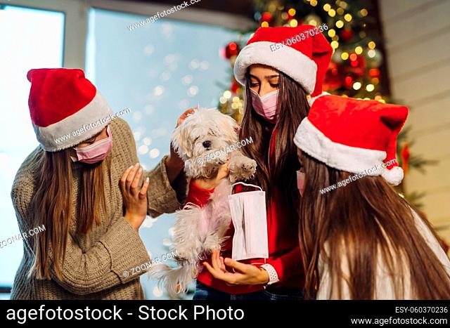 Several girls play with a small dog on New Years Eve at home. Christmas during coronavirus, concept