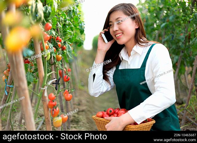 young beautiful chinese woman works in green field