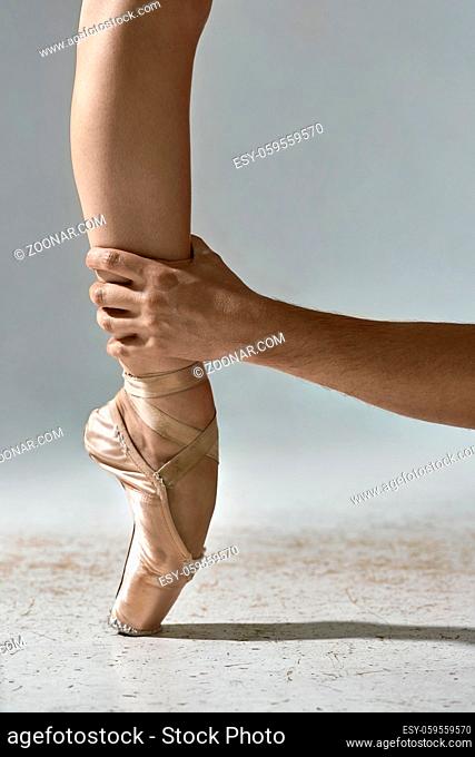 Man's hand is holding the ballerina's leg on the gray background in the studio. Girl wears beige pointe shoes and stands on the toe. Closeup. Vertical