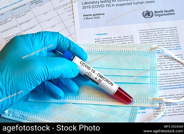 Florence: New Omicron variant of the Covid 19 Virus. Doctor's hand in blue glove holds test tube with positive Omicron COVID-19 test blood sample with...