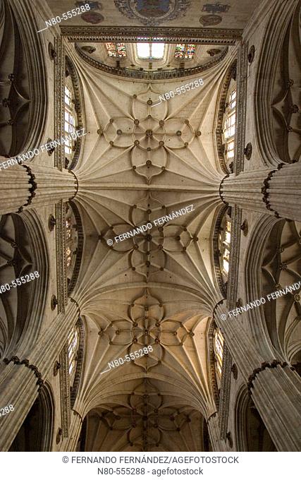 Central nave vaults of Gothic cathedral, Salamanca. Castilla-León, Spain