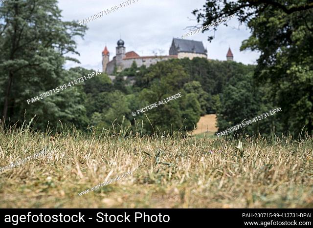 15 July 2023, Bavaria, Coburg: The grass in the courtyard garden is dry. The Veste Coburg can be seen in the background. Photo: Daniel Vogl/dpa