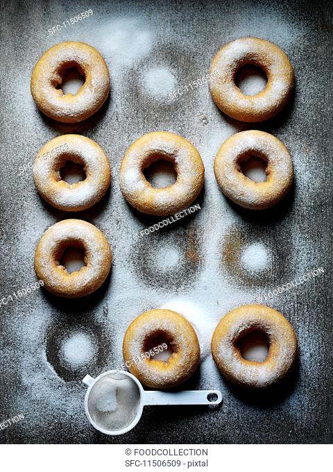 Doughnuts dusted with icing sugar