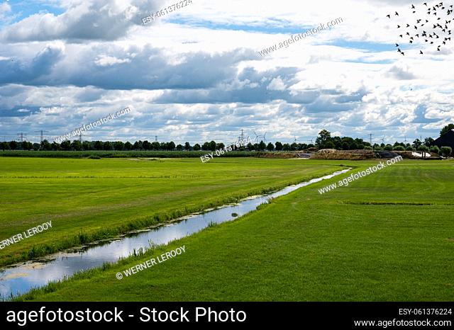 Diagonal creek through green farmland with birds in the sky, Holten, The Netherlands