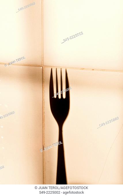 Tines of fork