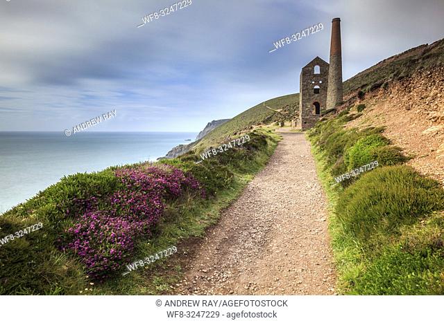 The South West Coast Path leads the viewers eye towards Towanroath Engine House at Wheal Coates, near St Agnes in Cornwall
