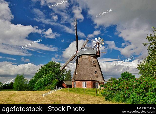 Windmill ""Hoffnung"", Nübelfeld, Quern, Steinbergkirche, Schleswig-Flensburg, Schleswig-Holstein, Germany