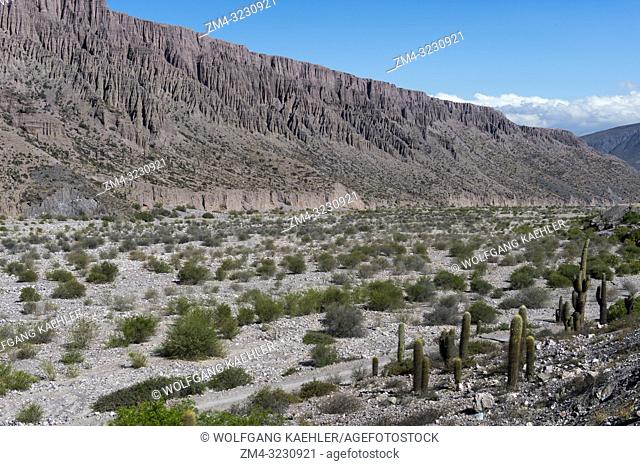 Landscape with interesting rock formations created by erosion and Cardon cacti along Highway 52 near Purmamarca in the Andes Mountains, Jujuy Province
