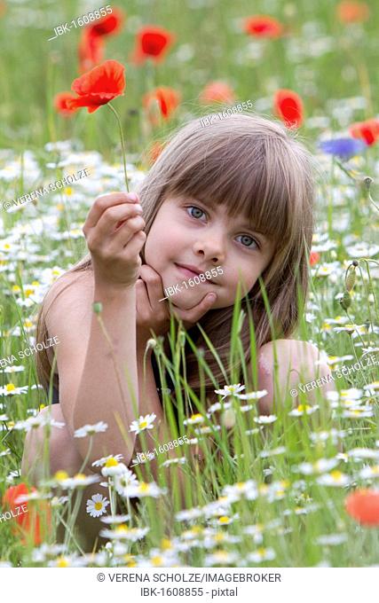 Little girl sitting in a wildflower meadow