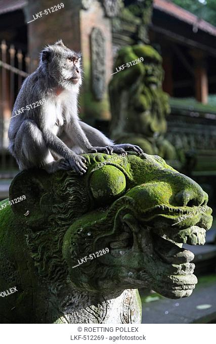 Monkey on a statue, Ubud Monkey Forest, Ubud, Gianyar, Bali, Indonesia