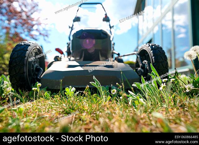 Low angle shot of high grass with blurred mowing machine on sunny day in a garden