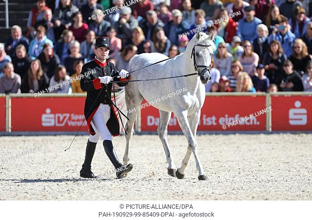 29 September 2019, Baden-Wuerttemberg, Gomadingen-Marbach: During the stallion parade 2019 a rider will lead his horse in the parcours in the program item...