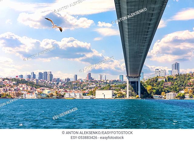 The Bosphorus under the bridge, Istanbul, Turkey