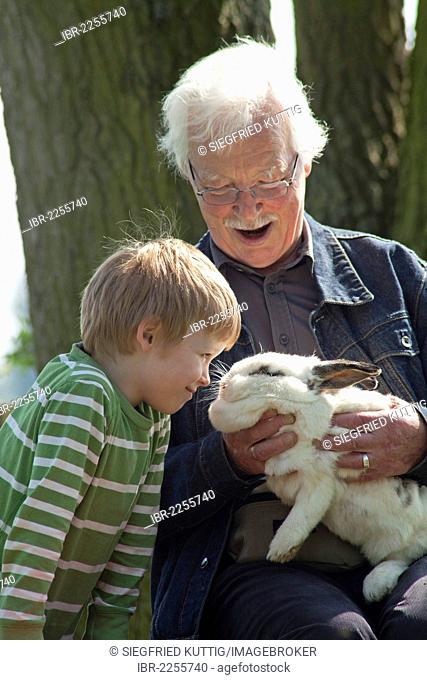 Grandfather with his grandson at children's farm or zoo, Wilhelmsburg, Hamburg, Germany, Europe