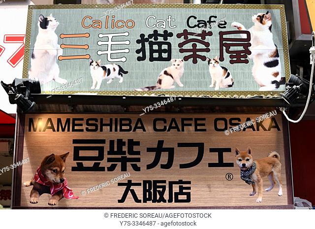 Cat cafe and Dog cafe sign in Dotombori Area, Osaka city, Japan, Asia