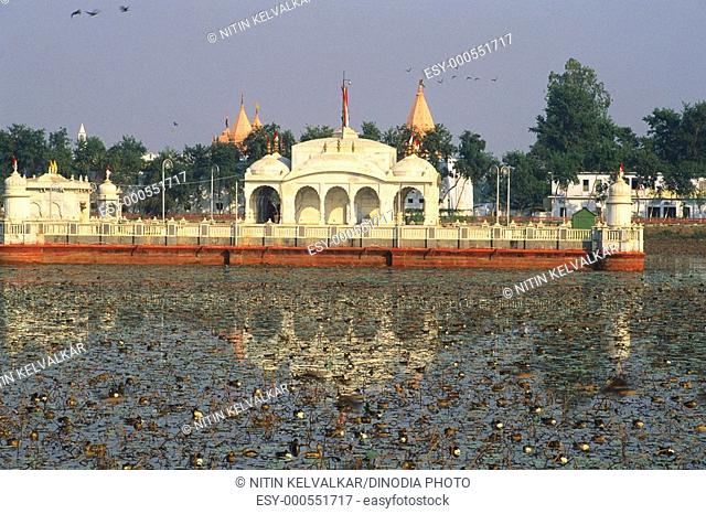 Jalmandir reflection in lotus tank , Pawapuri , Nirvana Place of Lord Mahavir , Bihar , India