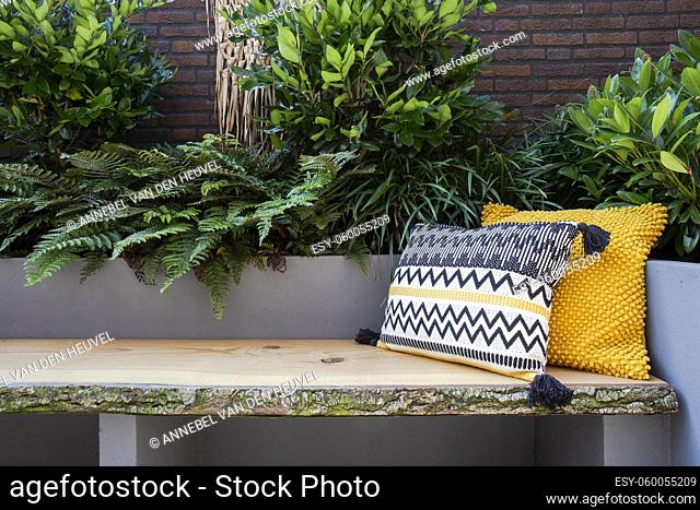 Cozy seating, Wooden sofa with colorful pillows in cozy garden seat, green plants and modern decoration bright colors