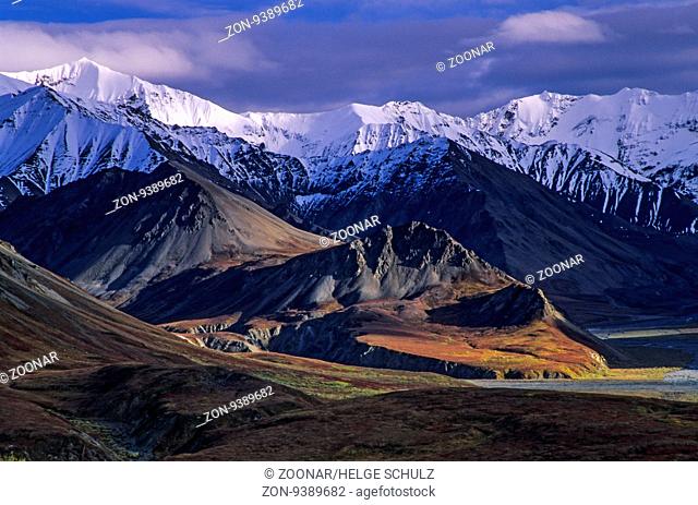 Alaskakette und herbstliche Tundra / Alaska Range and tundra landscape in indian summer / Denali Nationalpark - Alaska