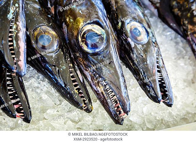 Black scabbardfish (Aphanopus carbo). Fish market. Santa Cruz. Madeira, Portugal, Europe