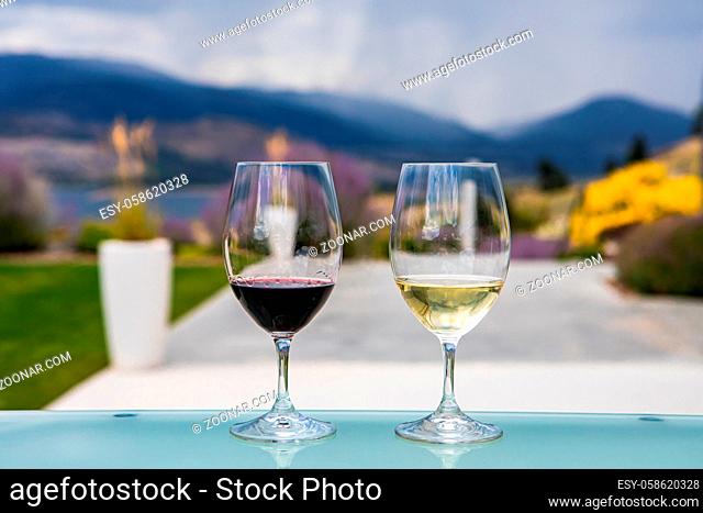 pair of glasses on glass table close up, selective focus view, two wine glasses filled of dark red and golden white wines, blurred nature background