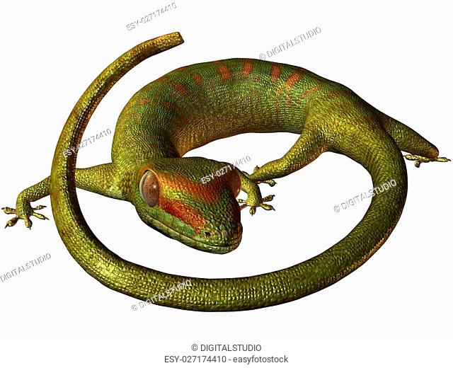 Serpent and charles Stock Photos and Images | agefotostock